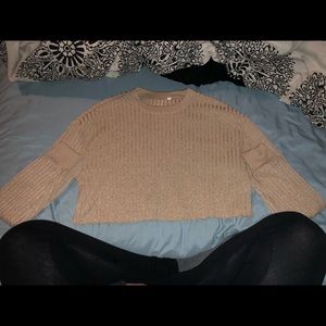Pacsun Cropped Sweater